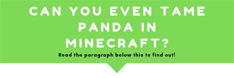 How to Tame Pandas in Minecraft & Breeding Tutorial - Olivias's Blog