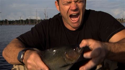 Bitten by a Black Piranha | Deadly 60 | Series 3 | BBC Earth - YouTube