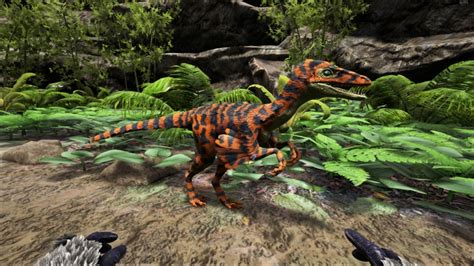 Tiger Troodon | ARK:Paint | The Best Paint ARK Warpaint ARK Survival Evolved Skins Paints Warpaints