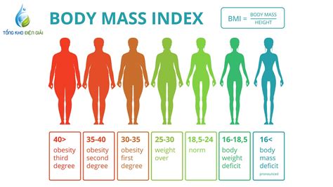 Chỉ Số BMI Nam Là Gì? Điều Gì Để Duy Trì Tốt Chỉ Số Này? - The first ...