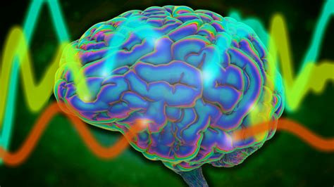 Unraveling the Mind: Exploring the Intricacies of Brain Wave Beta Rhythms | by Rosimeireluiz ...