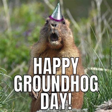 From Shadow To Sunshine: Hilarious Groundhog Day 2024 Memes