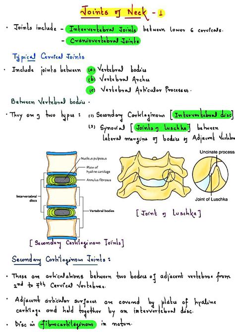 Joints of neck (part 1) - Human anatomy and physiology - Studocu