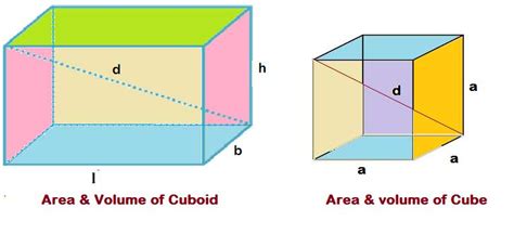 surface-area-volume-cuboid-cube-formulas-examples-allmathtricks - All Math Tricks