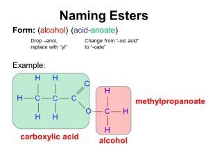 Ester Chemical Structure