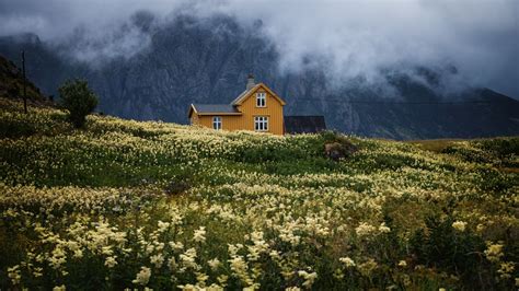 Beautiful Cottage And Field With Flowers In Background Of Clouds Touching Mountain 4K 5K HD ...