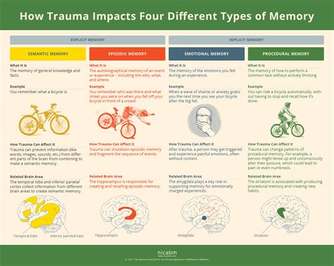 How Trauma Can Impact Four Types of Memory [Infographic] - nicabm