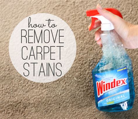 9 Hacks To Get Rid Of Stubborn Stains The Easy Way - Crafts On Fire