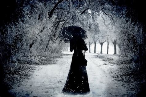 Gothic images Forest HD wallpaper and background photos (34552734)