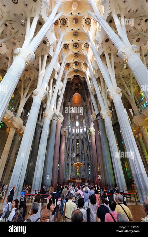 Interior of the Basilica de la Sagrada Familia cathedral in Stock Photo ...