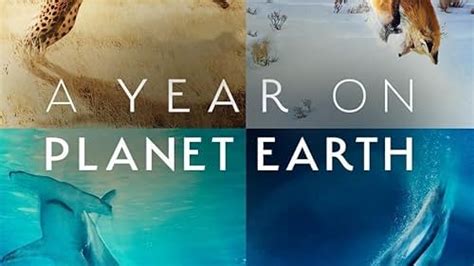 A Year on Planet Earth (TV Mini Series 2022– ) - Episode list - IMDb