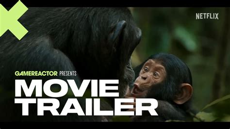 Chimpanzee Movie Trailer