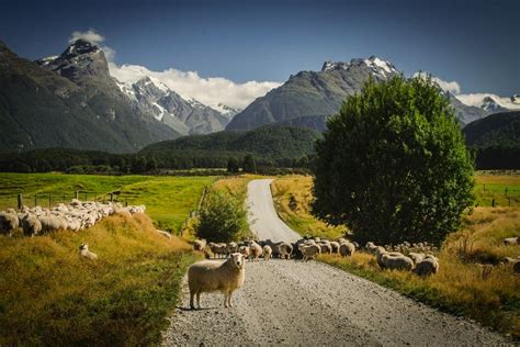 The Secret of Glenorchy - Altitude Tours