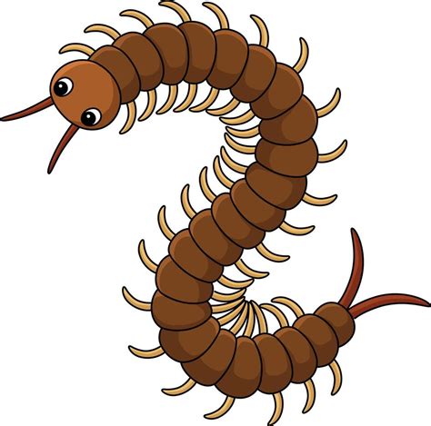 Centipede Cartoon Vector Png Vector Psd And Clipart With Transparent | The Best Porn Website