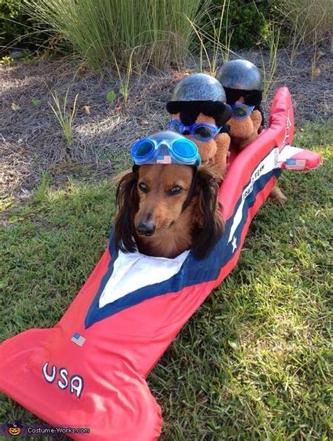 3rd Annual Weiner Dog Races! - Vero Beach