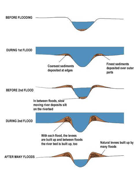 Diagram Of A Levee