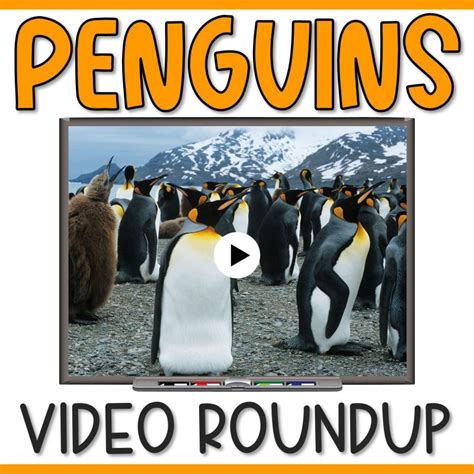 30 Perfect Penguin Videos for Your Kindergarten Class