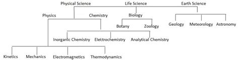 Different Branches of Science | BengalStudents