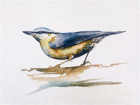 Bird Watercolor Painting Tutorial | by Christopher P Jones | Medium ...