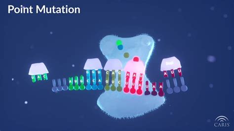 Frameshift Mutation Animation