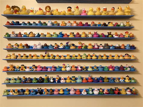 This rubber ducky collection : r/pics