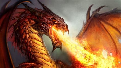 Fire Dragon Wallpapers - Top Free Fire Dragon Backgrounds - WallpaperAccess