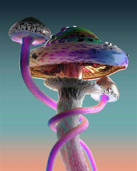 Mushroom Wallpaper Phone - KoLPaPer - Awesome Free HD Wallpapers