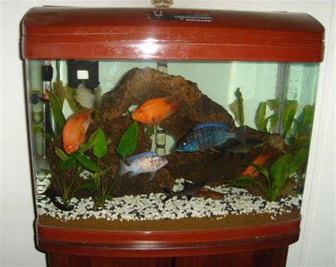 45 Gallon Bow Front Aquarium Lid - Aquarium Views