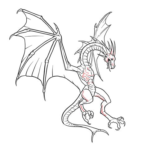 Wyvern Dragon Drawing