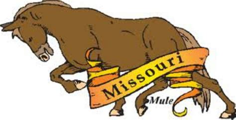 STATE ANIMAL | Animals, Missouri, States