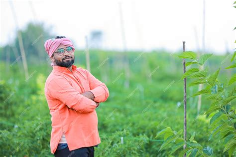 Premium Photo | Happy Indian farmer standing in green Chilli farm