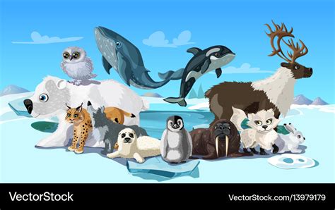 Arctic animals cartoon template Royalty Free Vector Image