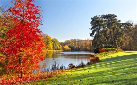 壁紙 秋の公園、湖、木、葉、自然の風景 2560x1600 無料のデスクトップの背景, 画像