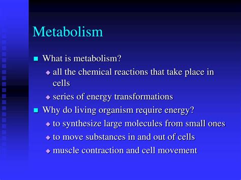 PPT - Metabolism PowerPoint Presentation, free download - ID:437453