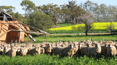 Agriculture - Visit Goomalling