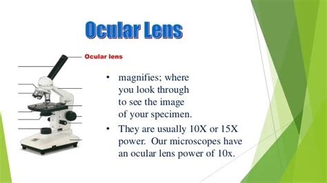 Review Of Ocular Lens Microscope Function 2022 - Desain Interior