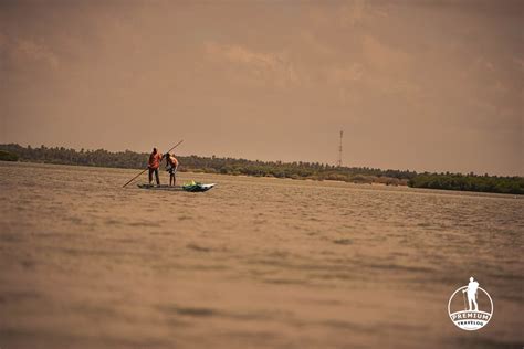 Bird watching in Kalpitiya lagoon - Premium Travelog