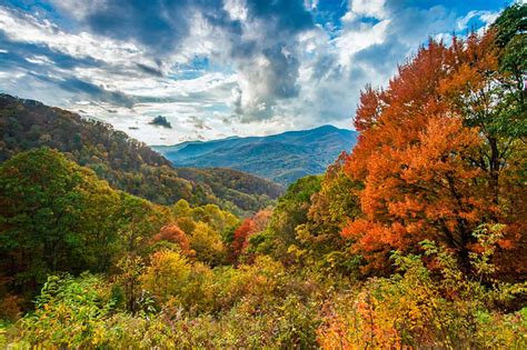 Fall Colors - Blue Ridge Parkway (U.S. National Park Service)