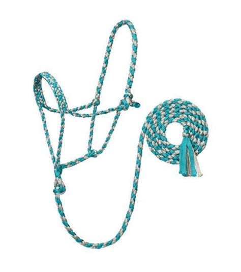 Weaver, 10' Turquoise/Gray Braided Rope Halter with Lead - Wilco Farm Stores