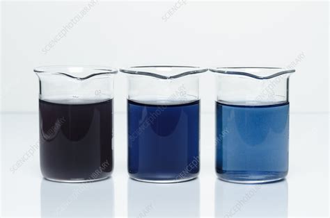 Iodine Test for Starch - Stock Image - C039/1246 - Science Photo Library