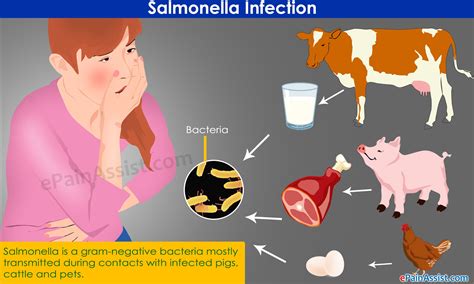 Salmonella Symptoms