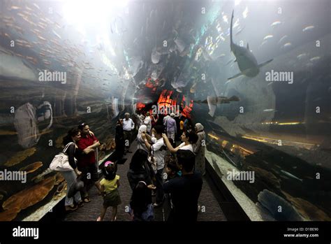 Dubai, United Arab Emirates, the Dubai Aquarium Tunnel visitors in the ...