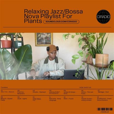 Stream Relaxing Jazz Playlist For My Plants (Side Quest O3) by CI RADIO | Listen online for free ...