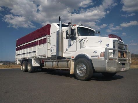 KENWORTH. T404, Livestock Transport Truck. Australia. | Kenworth ...