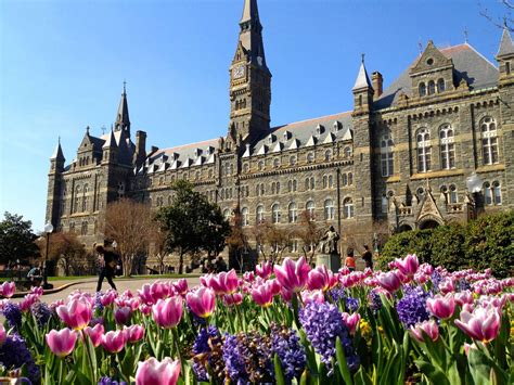 Georgetown University Online Degree Program Partnership | 2U