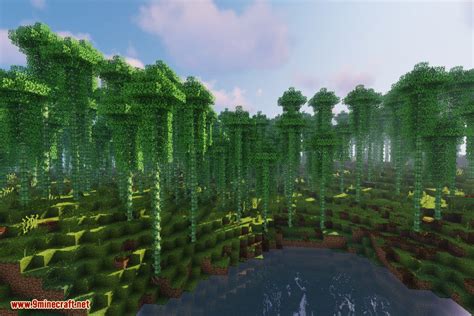 Dynamic Trees Biomes O' Plenty Compat Mod (1.21.1, 1.20.1) - 9Minecraft.Net