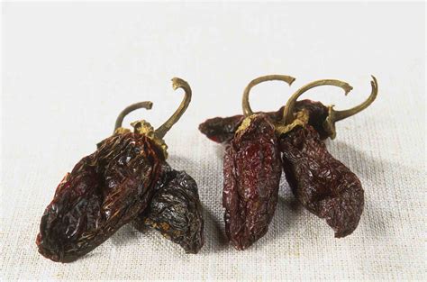 A Guide to 5 Common Types of Dried Chile Peppers