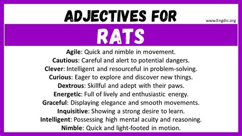 20+ Best Words to Describe Rats, Adjectives for Rats - EngDic