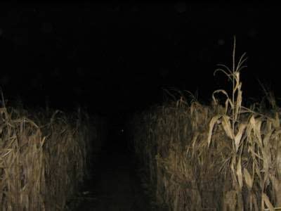 Haunted Corn Maze! Reminds me of our paintball adventure in the corn ...