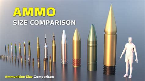 Ammunition Size Comparison 3D | Bullet Size | Ammo Size - YouTube